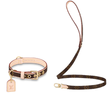 Load image into Gallery viewer, LV DOG COLLAR AND LEASH
