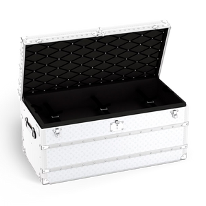 CUSTOM LV WHITE TRUNK