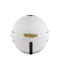 Load image into Gallery viewer, CHRISTIAN TECHNOGYM GYM BALL
